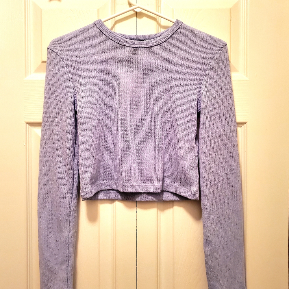 NWT Zara Lavender Long Sleeve Crop Top - Picture 2 of 10